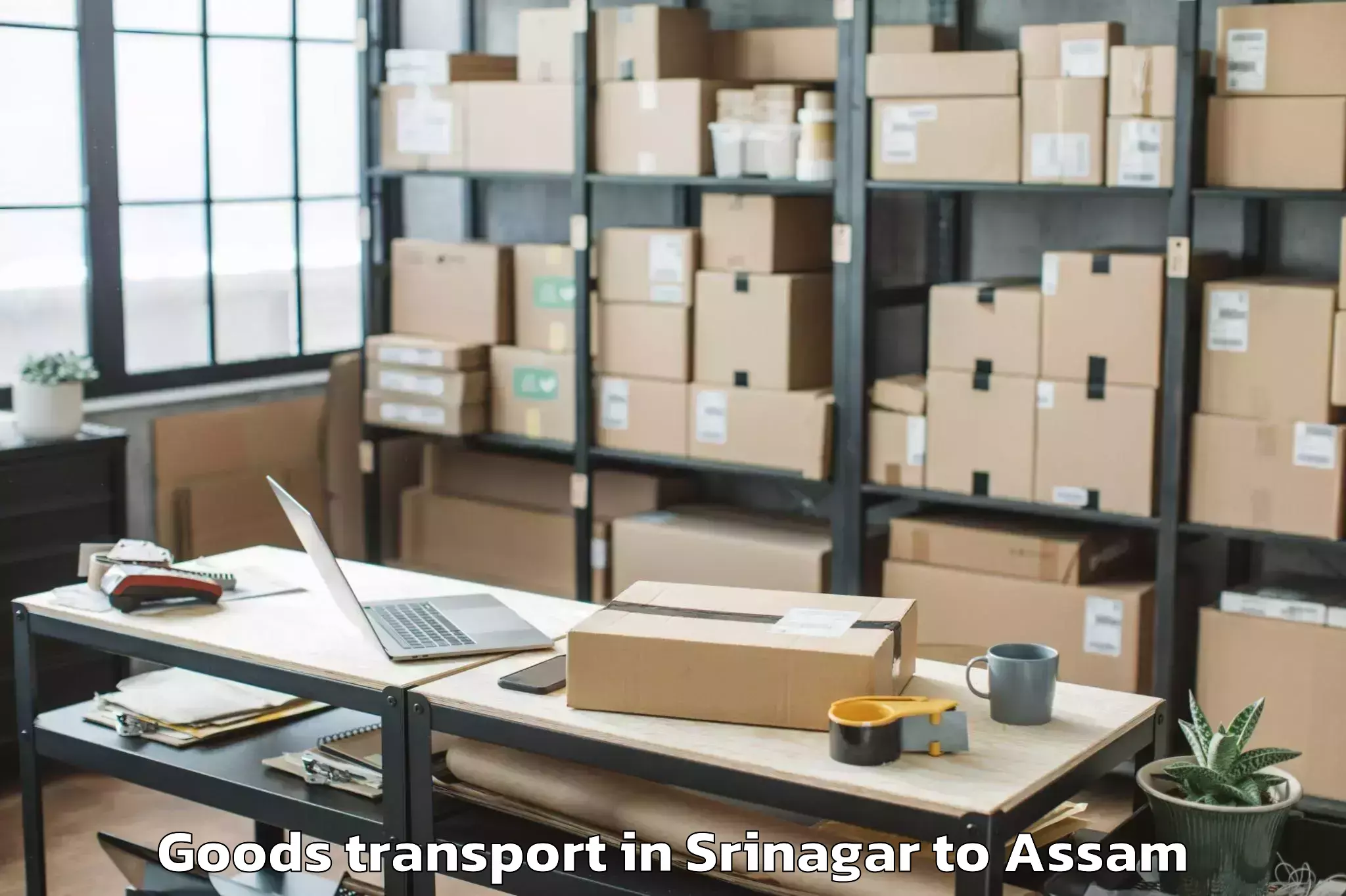 Leading Srinagar to Dalgaon Pt Goods Transport Provider